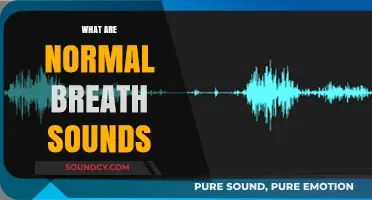Understanding Normal Breath Sounds: A Comprehensive Guide to Lung Health