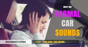 Understanding Normal Car Sounds: What's Typical and When to Worry