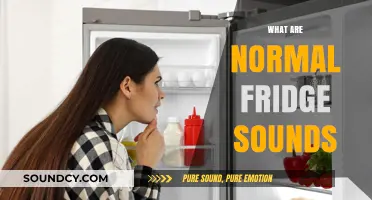 Understanding Normal Fridge Noises: What Sounds Are Typical and Why