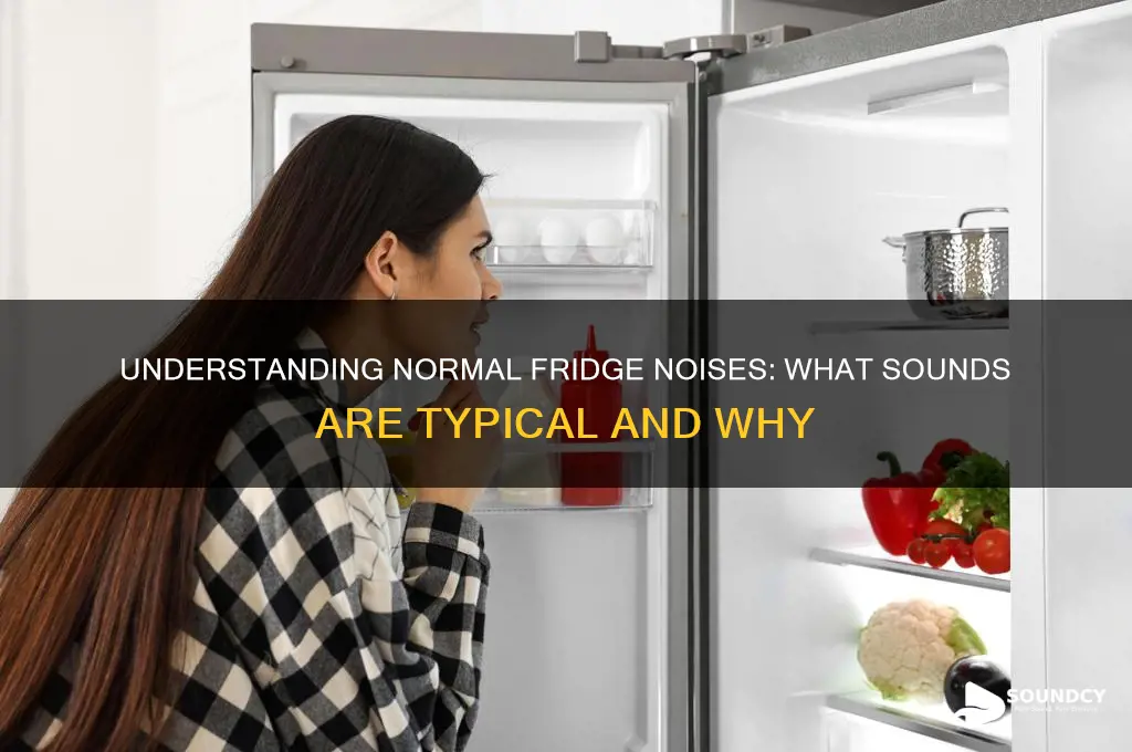 what are normal fridge sounds