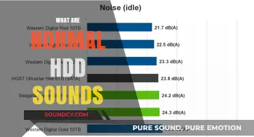 Understanding Normal HDD Sounds: What to Expect from Your Hard Drive