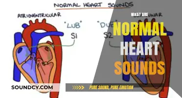 Understanding Normal Heart Sounds: A Comprehensive Guide to Cardiac Auscultation