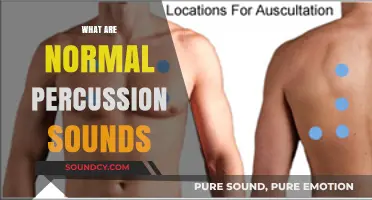 Understanding Normal Percussion Sounds: A Comprehensive Guide for Medical Professionals