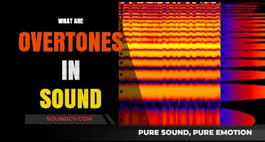 Understanding Overtones: The Hidden Layers Shaping Sound's Richness and Depth