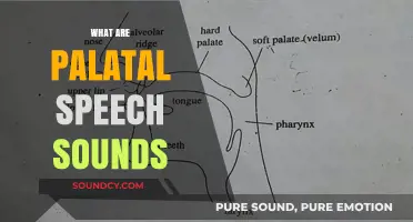 Understanding Palatal Speech Sounds: Definition, Examples, and Articulation Techniques