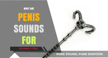 Unveiling the Mystery: What Are Penis Sounds For?