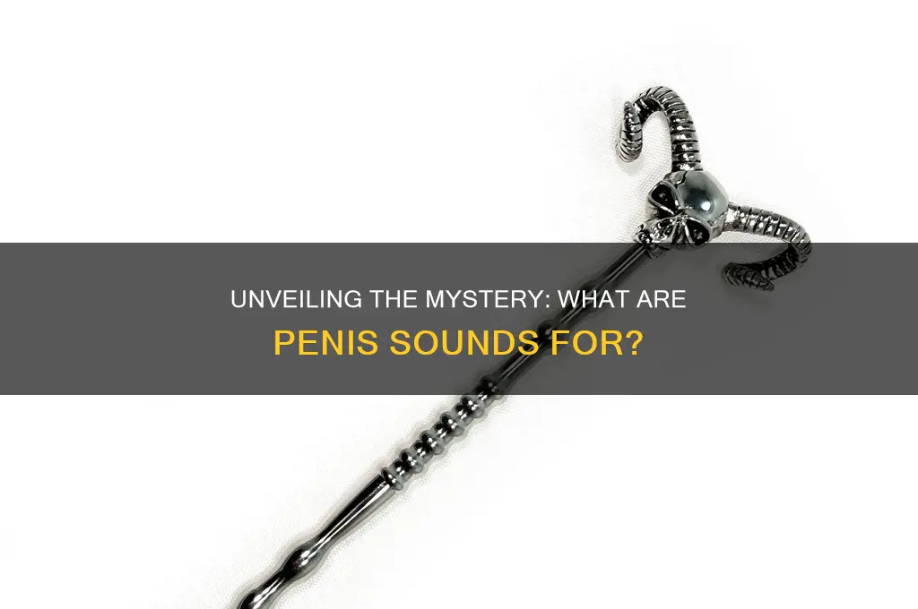 what are penis sounds for
