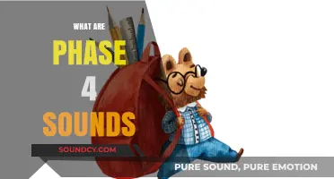 Understanding Phase 4 Sounds: A Guide to Advanced Phonics Learning