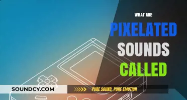 Unveiling the Term for Pixelated Sounds: A Digital Audio Mystery