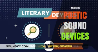 Exploring Poetic Sound Devices: Enhancing Rhythm and Musicality in Poetry