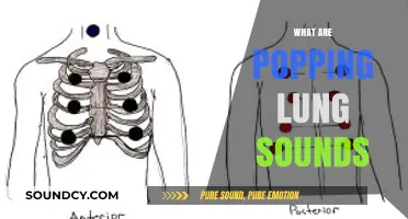 Understanding Popping Lung Sounds: Causes, Diagnosis, and Treatment Explained