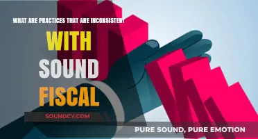 Unsound Fiscal Practices: A Guide to Avoiding Financial Pitfalls
