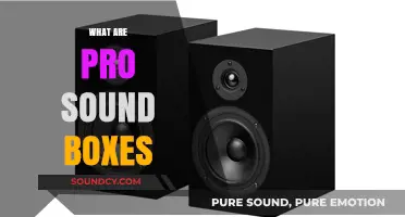 Understanding Pro Sound Boxes: Enhancing Audio Quality for Professionals