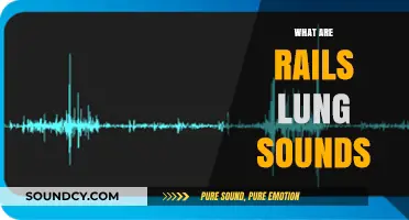 Understanding Rails Lung Sounds: Causes, Diagnosis, and Clinical Significance