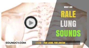 Understanding Rales: Decoding Abnormal Lung Sounds and Their Clinical Significance