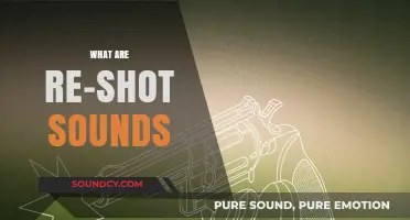 Re-Shot Sounds: Understanding the Art of Recreated Audio Effects
