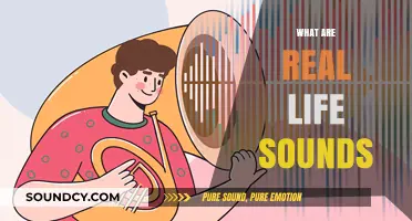 Exploring the Rich Tapestry of Real-Life Sounds Around Us