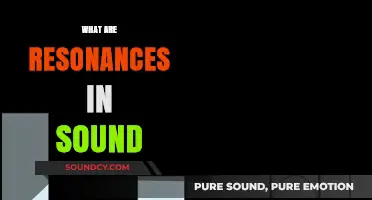 Understanding Sound Resonances: How They Shape Music and Acoustics