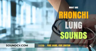 Understanding Rhonchi: Identifying and Interpreting Abnormal Lung Sounds