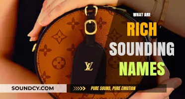 Elevate Your Brand: Discovering Rich, Sophisticated, and Memorable Names