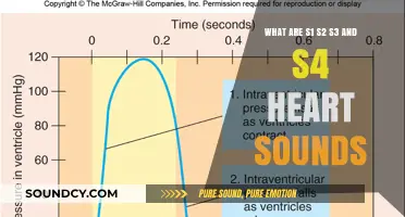 Understanding the Symphony of Your Heart: S1, S2, S3, and S4 Sounds Explained