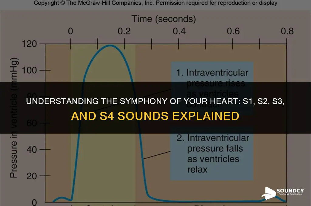 what are s1 s2 s3 and s4 heart sounds