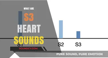 Understanding S3 Heart Sounds: Causes, Detection, and Clinical Significance