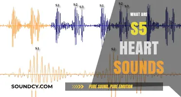 Understanding S5 Heart Sounds: Causes, Detection, and Clinical Significance