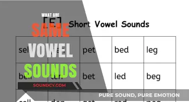 Understanding Same Vowel Sounds: A Guide to Phonetic Similarities in Words