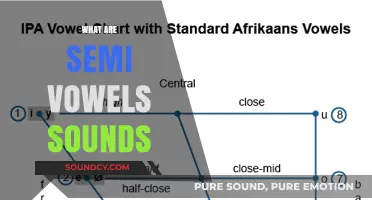 Understanding Semi-Vowel Sounds: Their Role and Importance in Phonetics