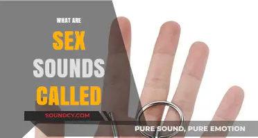 Understanding the Names for Sex Sounds: A Comprehensive Guide