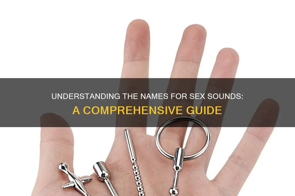 what are sex sounds called