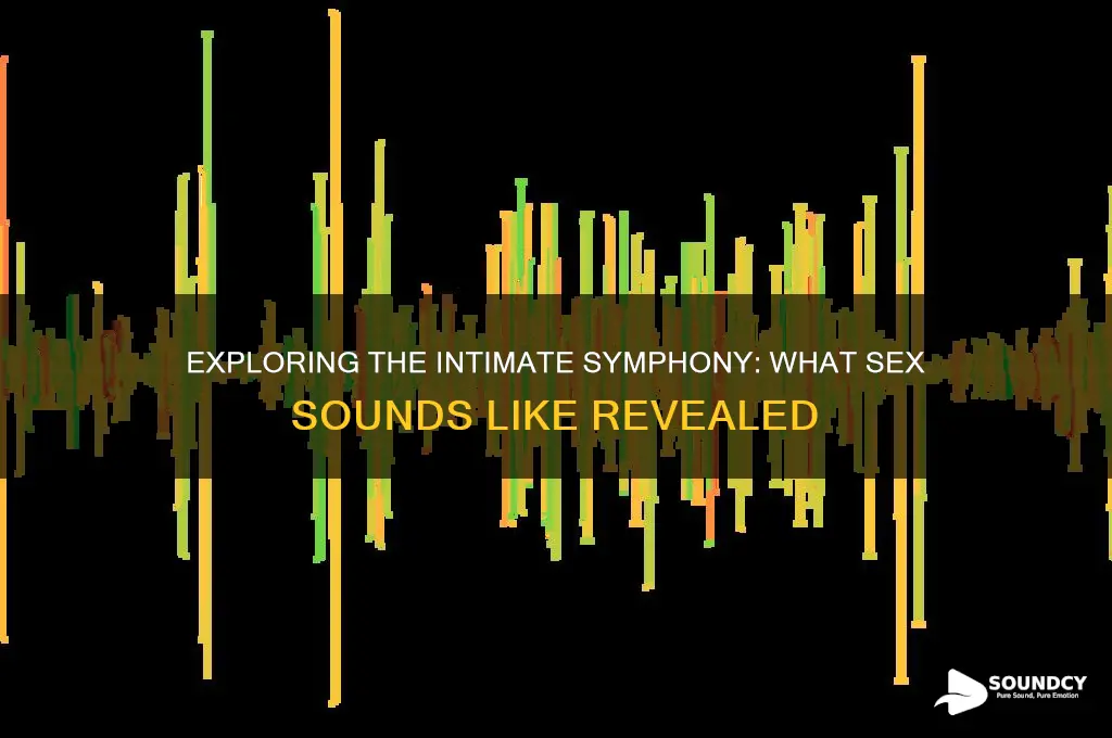 what are sex sounds like