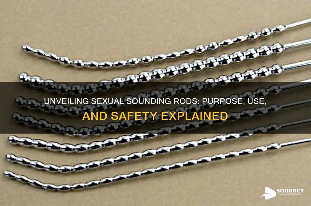 what are sexual sounding rods