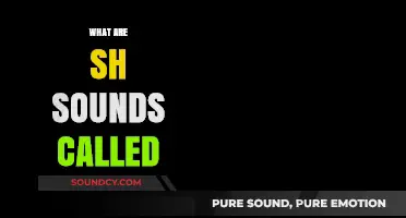 Understanding the 'SH' Sound: Phonetics, Examples, and Common Names