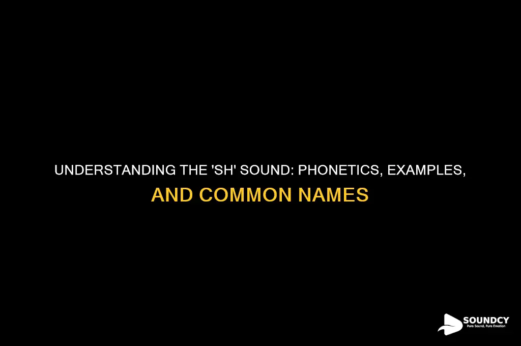 what are sh sounds called
