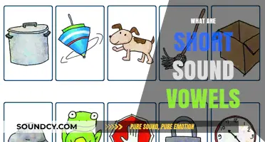 Understanding Short Sound Vowels: A Quick Guide to Pronunciation Basics