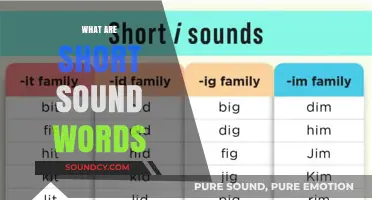 Exploring Short Sound Words: Their Meaning, Usage, and Impact in Language