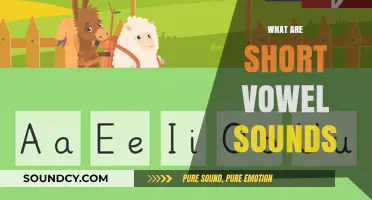 Mastering Short Vowel Sounds: A Beginner's Guide to Phonics Basics