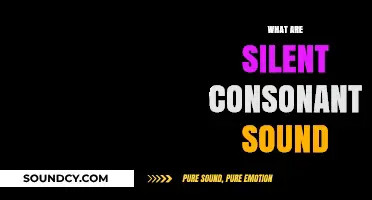 Unspoken Sounds: Understanding Silent Consonants in English Phonetics