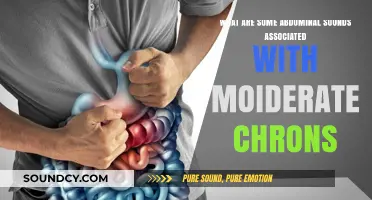 Exploring Abdominal Sounds in Moderate Crohn's Disease
