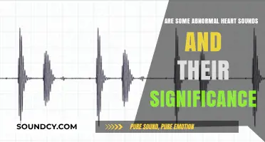 Decoding Abnormal Heart Sounds: A Guide to Their Significance