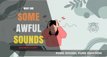 Unbearable Noises: Exploring the Most Awful Sounds in Our Daily Lives