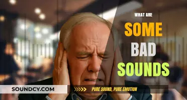Unpleasant Noises: Exploring the Most Annoying Sounds in Daily Life