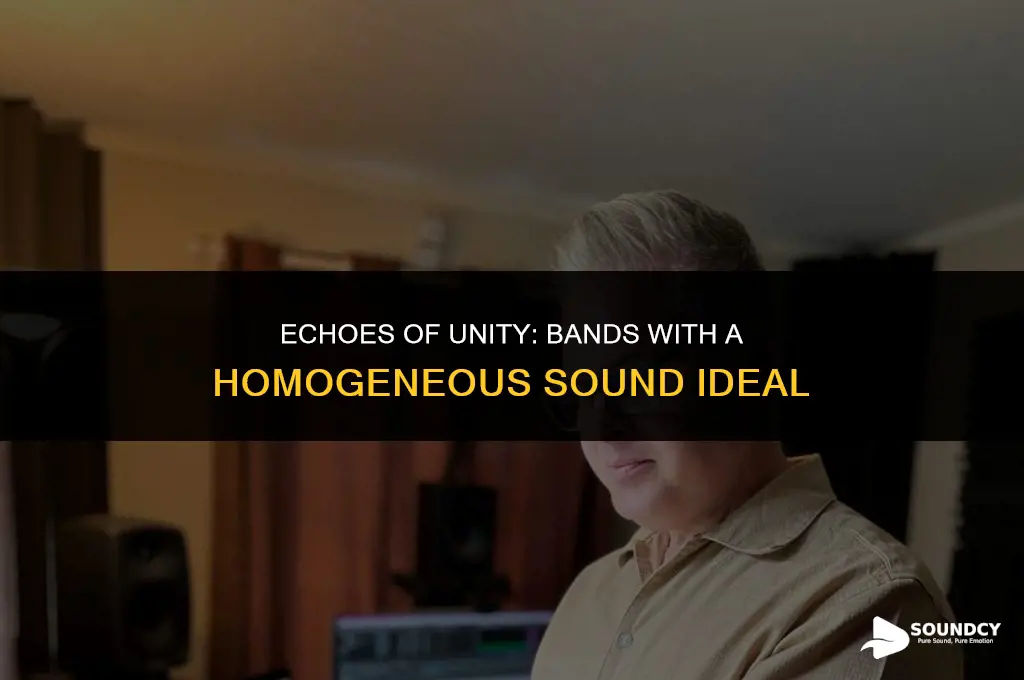 what are some bands that have homogeneous sound ideal