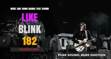 Discovering the Next Blink-182: Bands You'll Love If You're a Fan
