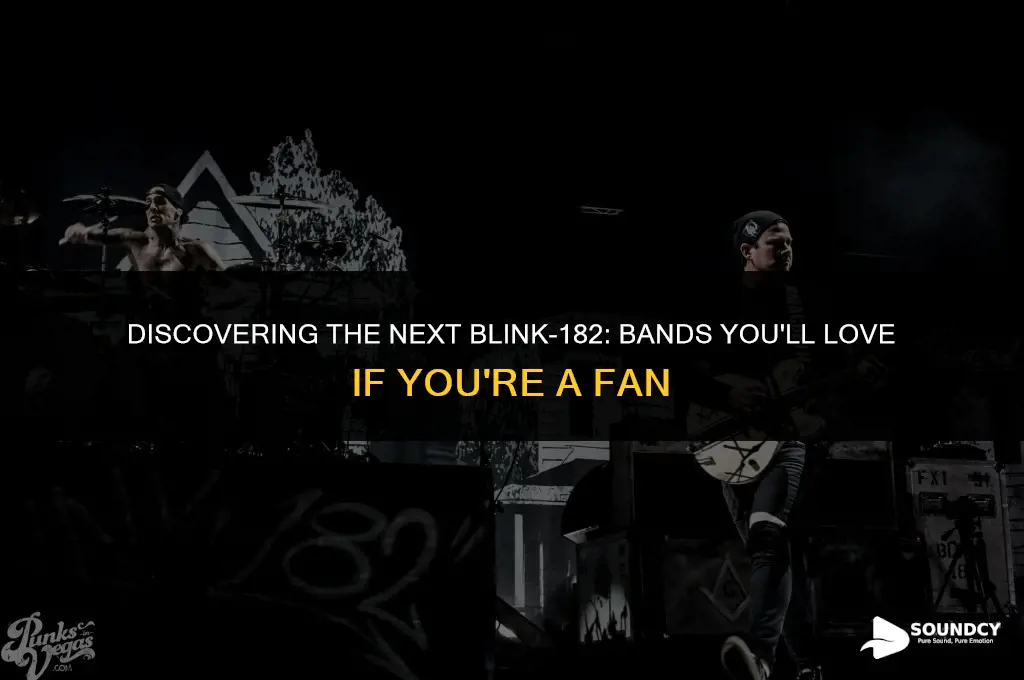 what are some bands that sound like blink 182
