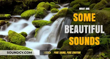 Exploring Nature's Melodies: Beautiful Sounds That Soothe the Soul