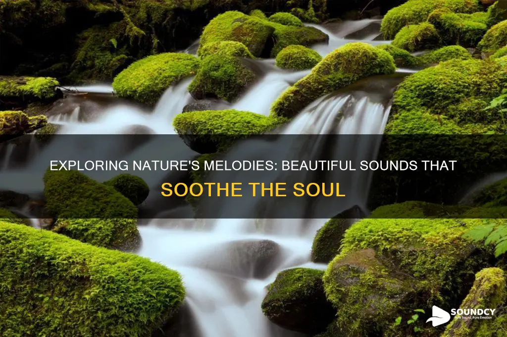what are some beautiful sounds