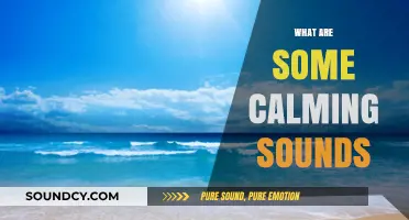 Soothing Sounds: Discover Nature's Serenity and Relaxing Melodies